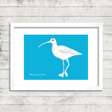 Load image into Gallery viewer, Wetland Birds - fine art limited edition prints - NEW!