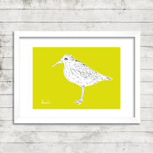 Wetland Birds - fine art limited edition prints - NEW!