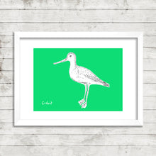 Load image into Gallery viewer, Wetland Birds - fine art limited edition prints - NEW!