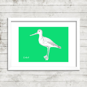 Wetland Birds - fine art limited edition prints - NEW!