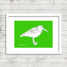 Wetland Birds - fine art limited edition prints - NEW!